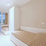 Palms *
