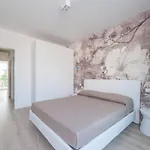 Apartment Palms *